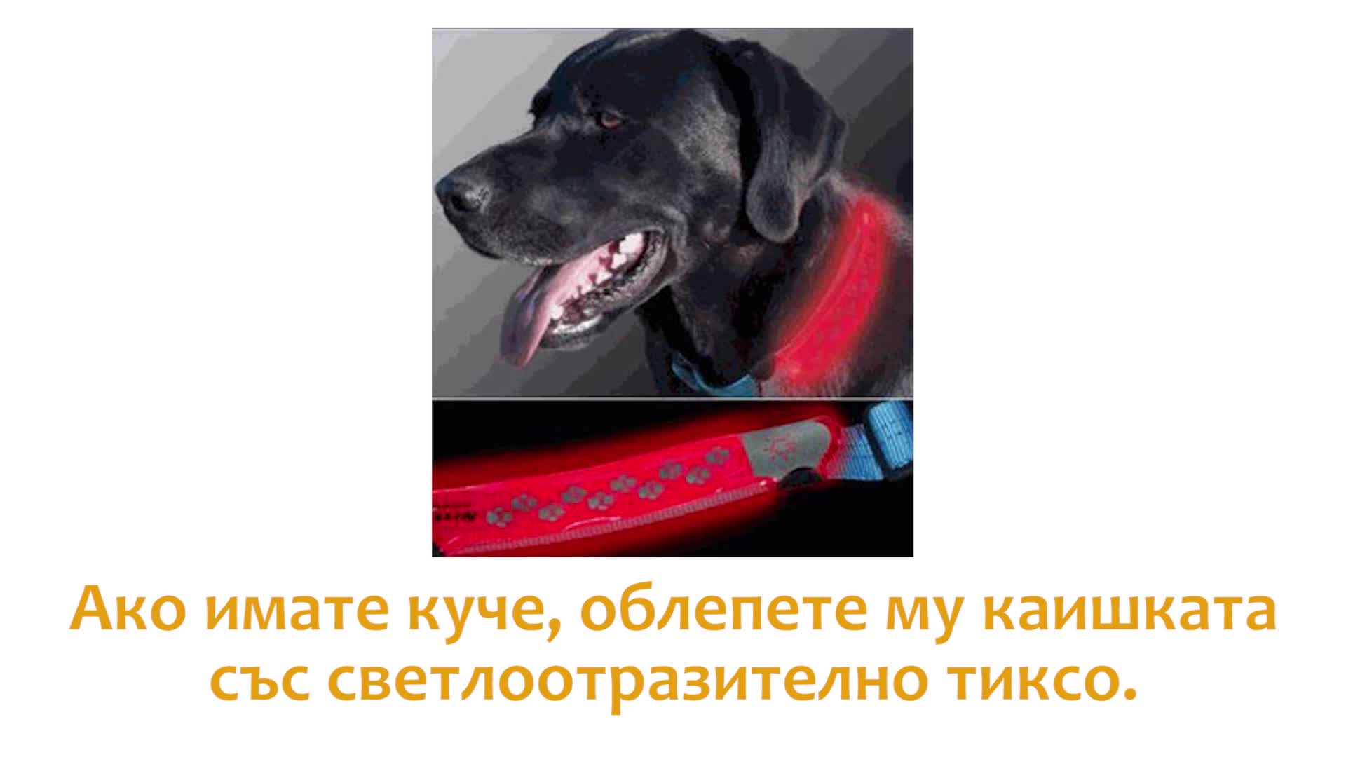 5 хитринки с тиксо