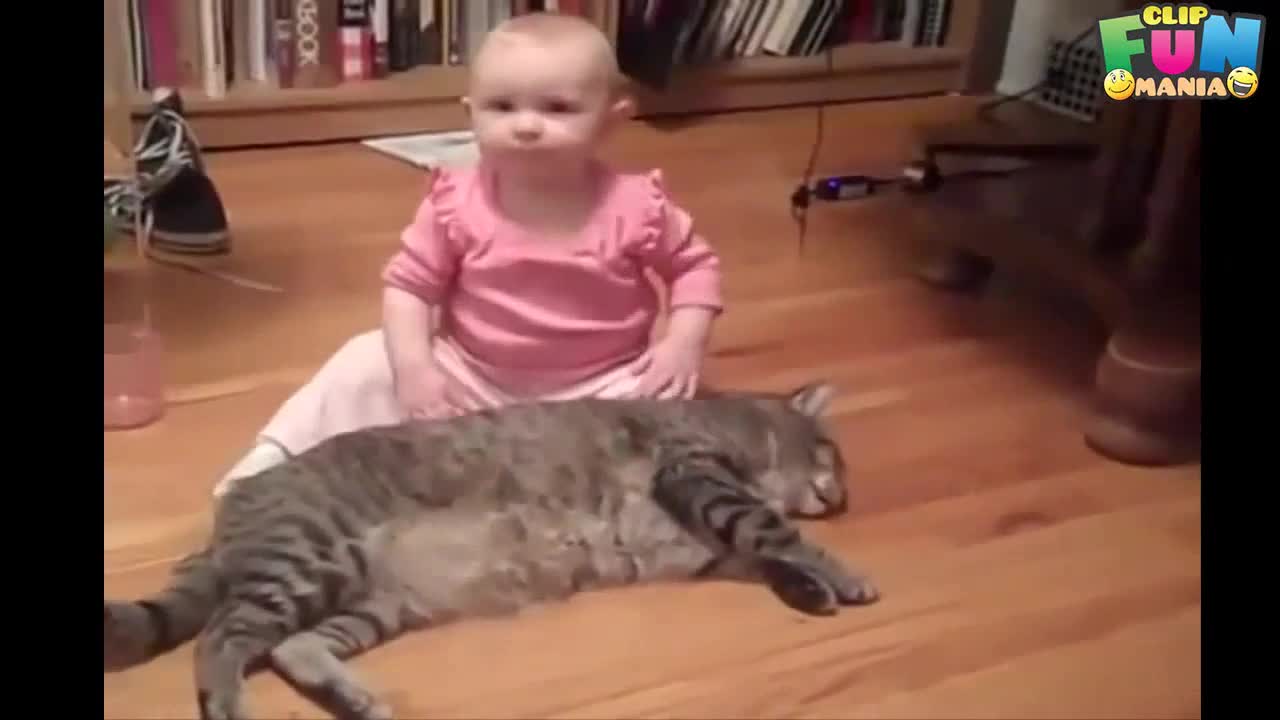 Сладко бебе си играе с котка