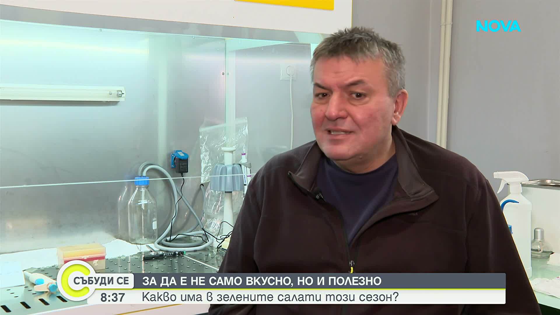 Какво има в зелените салати този сезон