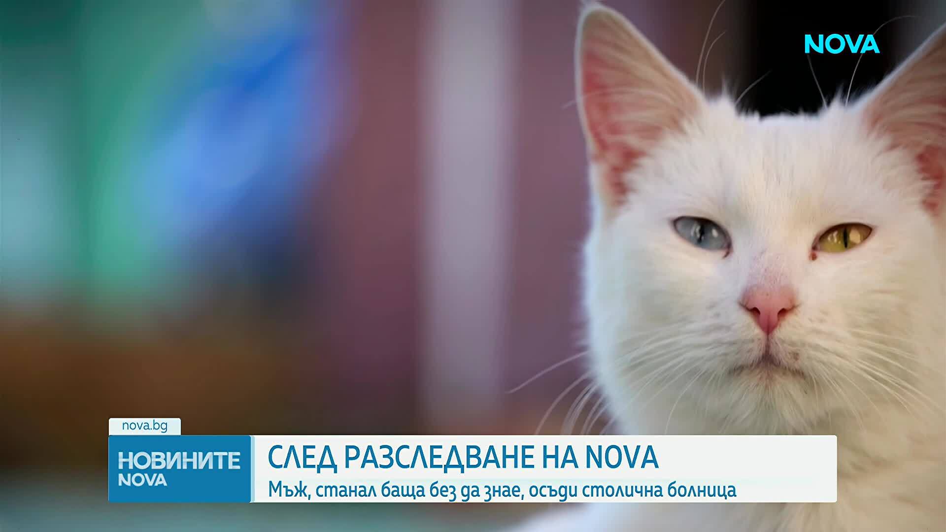 Мъж, станал баща, без да знае, осъди болницата, откраднала биологичния му материал