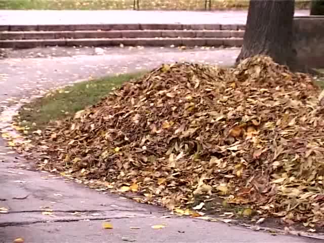 Есен в Ниш