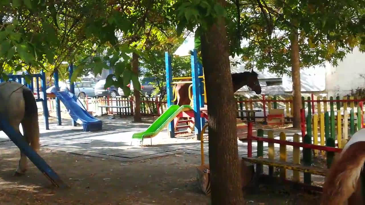 Конска действителност на детска площадка