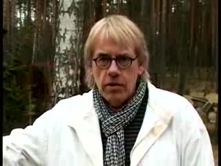 Сок от сребърна бреза