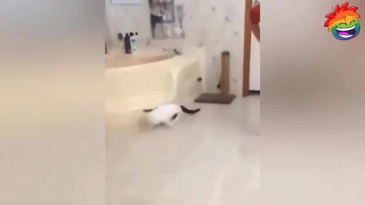 Много смях на макс!