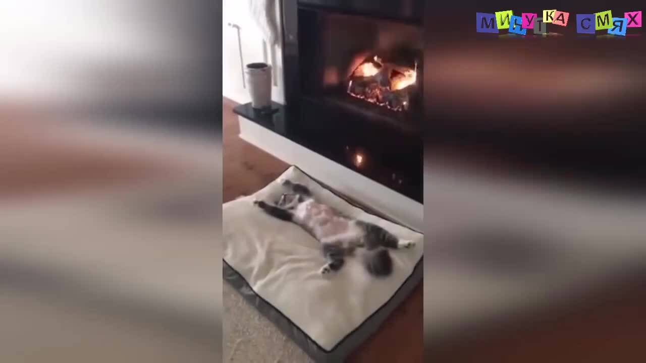 Зимни изцепки - Минутка смях