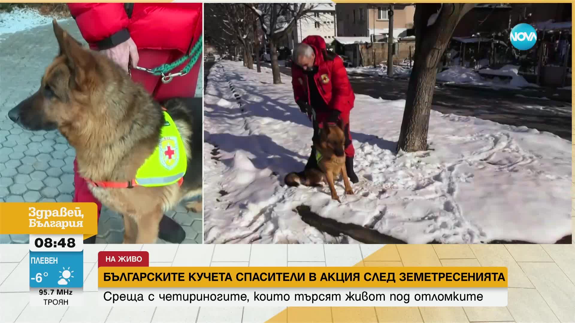 Българските кучета спасители в акция след земетресенията в Турция и Сирия -  Общество - България - Здравей, България - NOVA