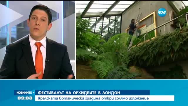 Откриха Фестивала на орхидеите в Лондон