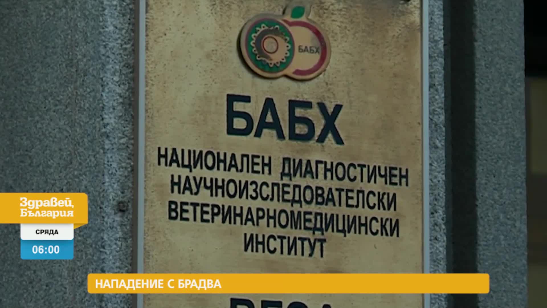 В „Здравей, България” на 17 май очаквайте