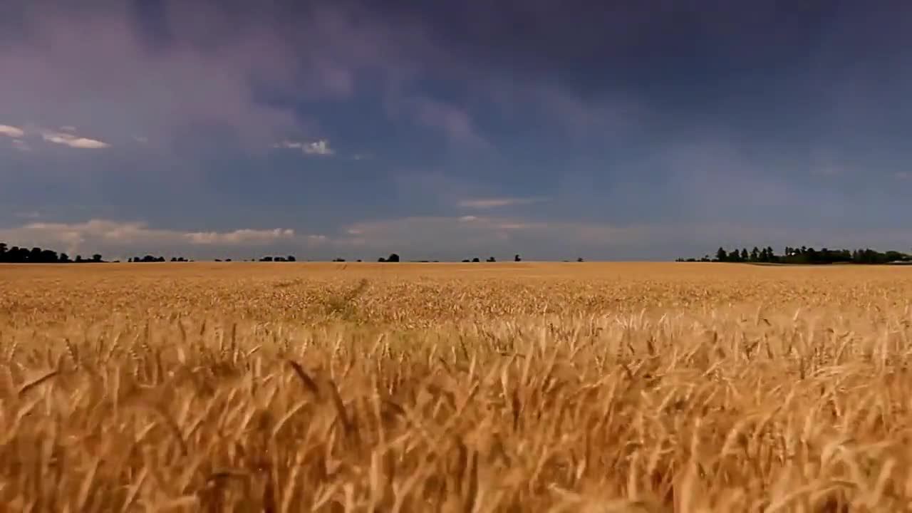 Скачать альбом курас валерий Скачать альбом курас валерий