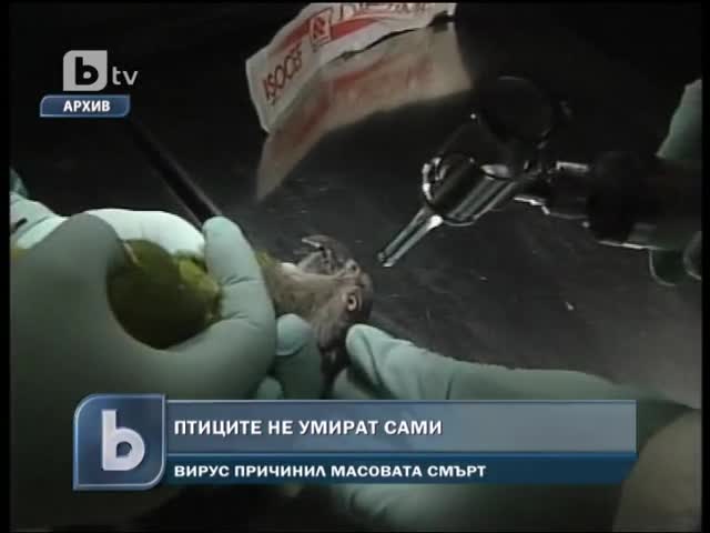 2012 не е причина за смъртта на птиците 