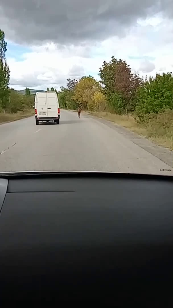 Интересно пътуване