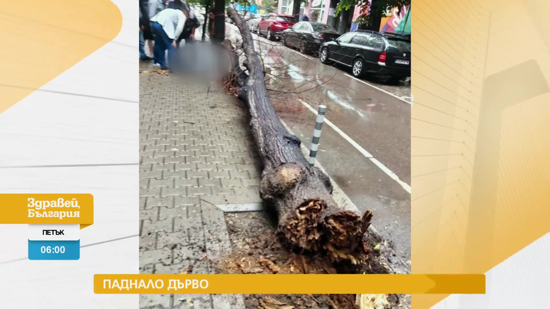 В „Здравей, България” на 16 юни очаквайте