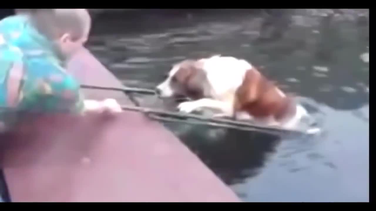 Най-трогателното Видео, което се Споделя в социалните мрежи в последните дни!