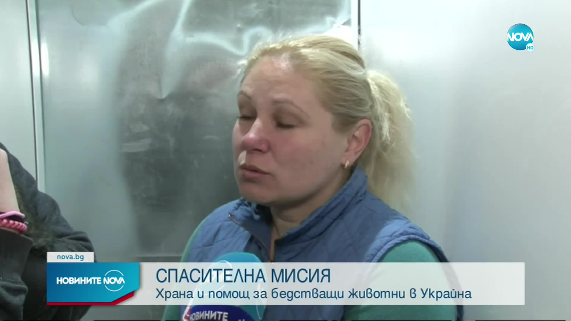 Неправителствена организация у нас помага на животни от Украйна