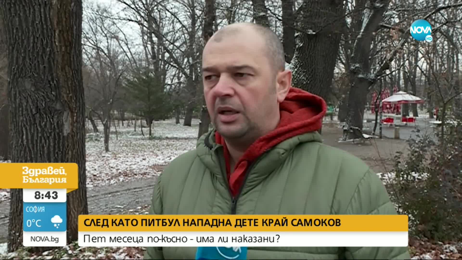 Какво е състоянието на детето, нахапано от питбул през лятото в Самоков?
