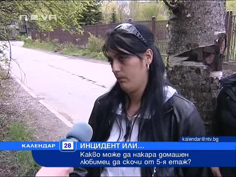 Инцидент или...