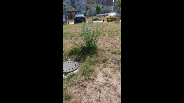 Безобразно отношение на институциите