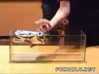 Невидима Вода! Готин Трик!