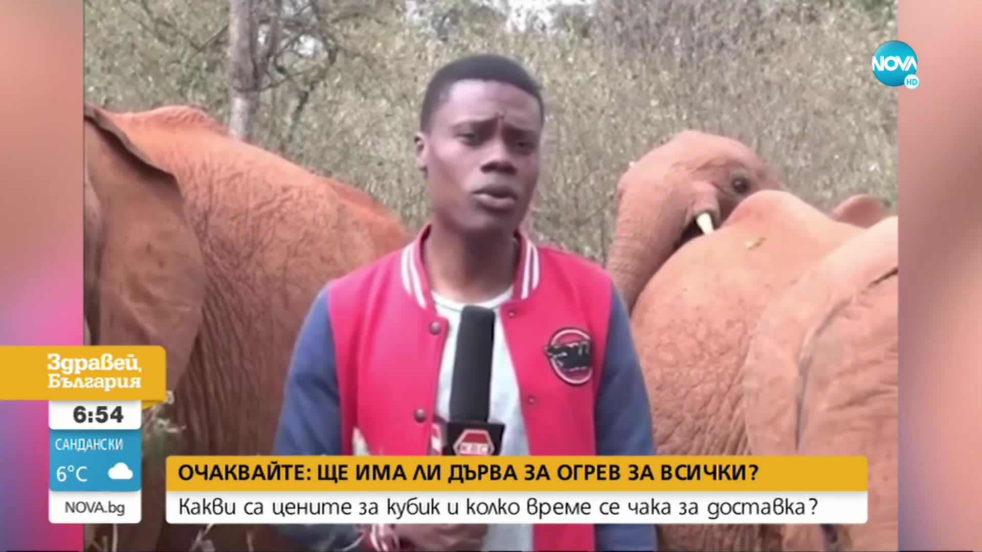 Слонче гъделичка кенийски репортер в ефир