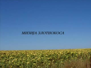 Зажалила Майка