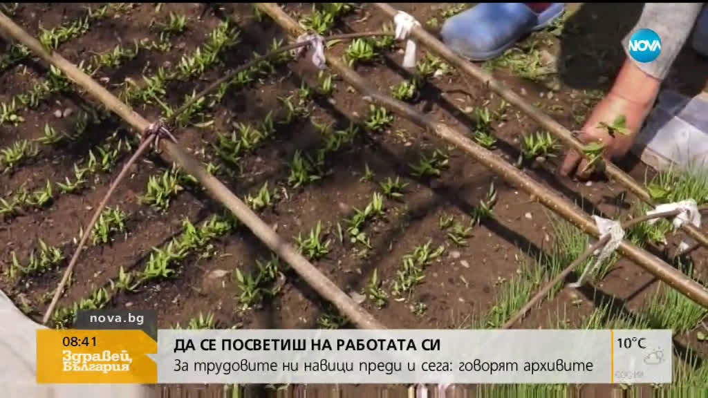 Говорят архивите: Трудовите навици преди и сега