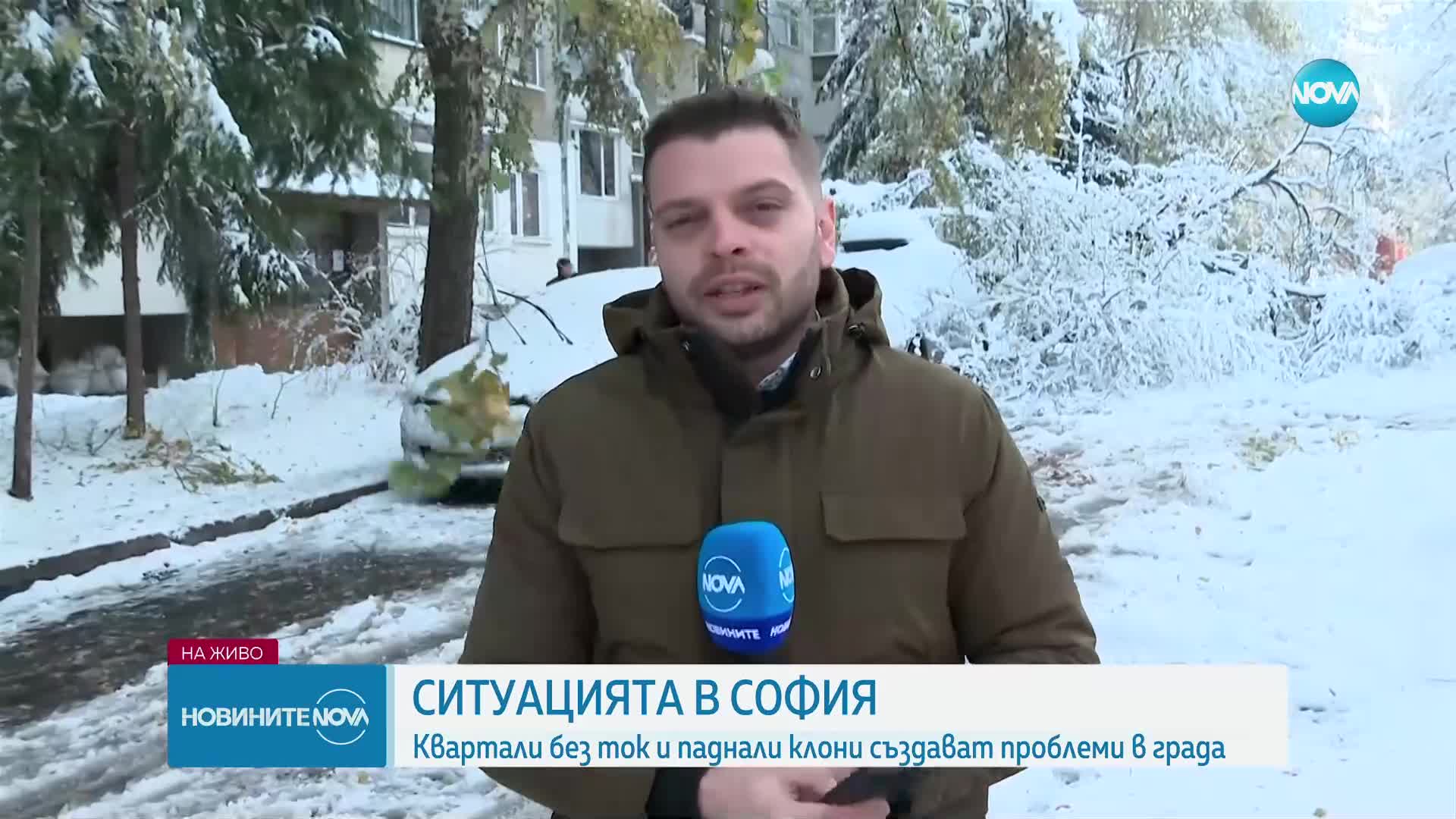 Около 35 см сняг в София: Над 1000 сигнала за паднали клони и дървета