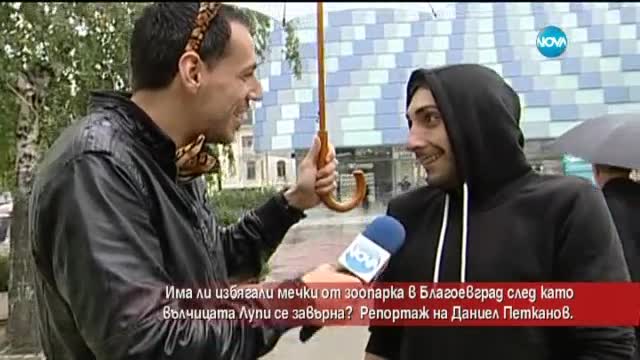 Има ли избягали мечки от зоопарка в Благоевград?
