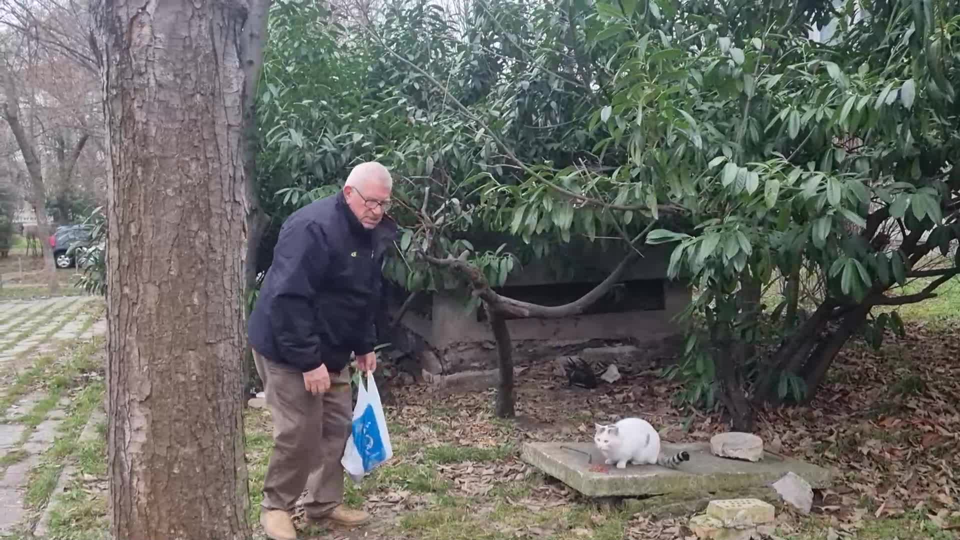 Прокуратурата в Бургас се заема със садиста, измъчвал котки