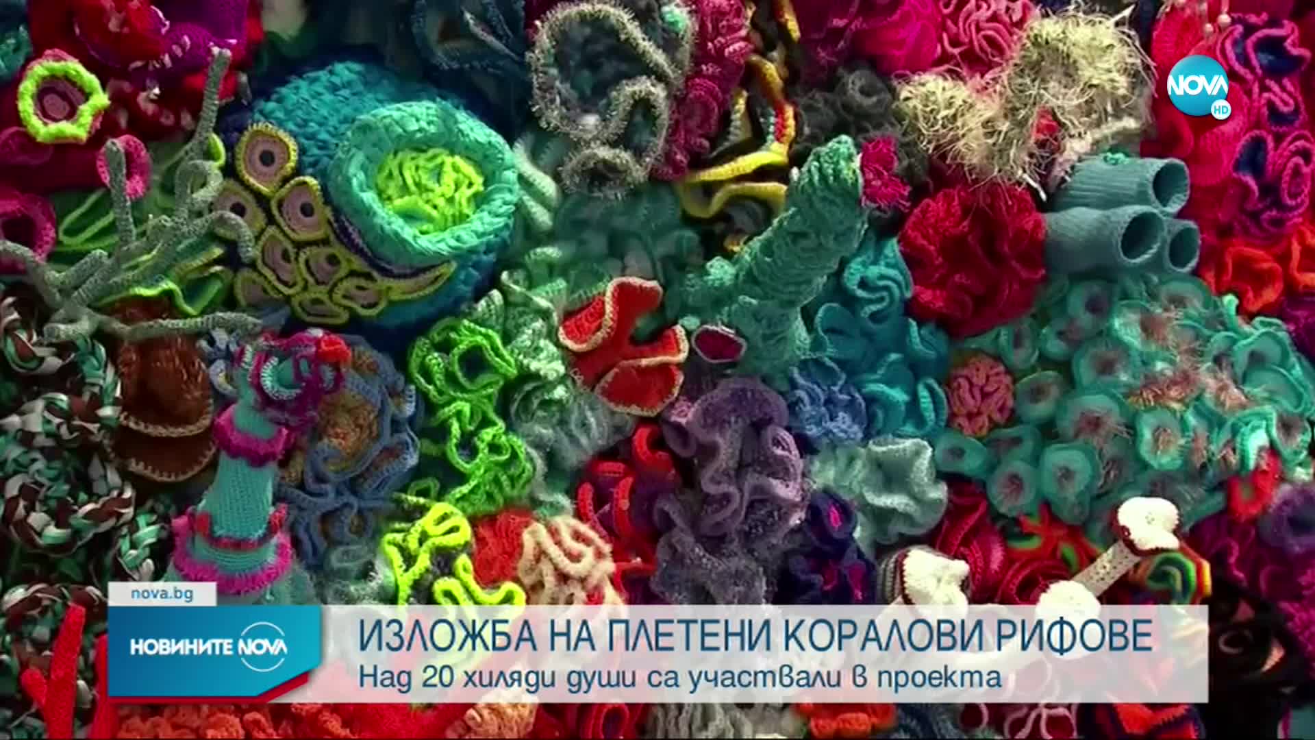 Плетени корали в борбата с климатичните промени