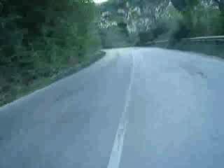 Как Куче Ми Изкочи На Пътя С Мотора