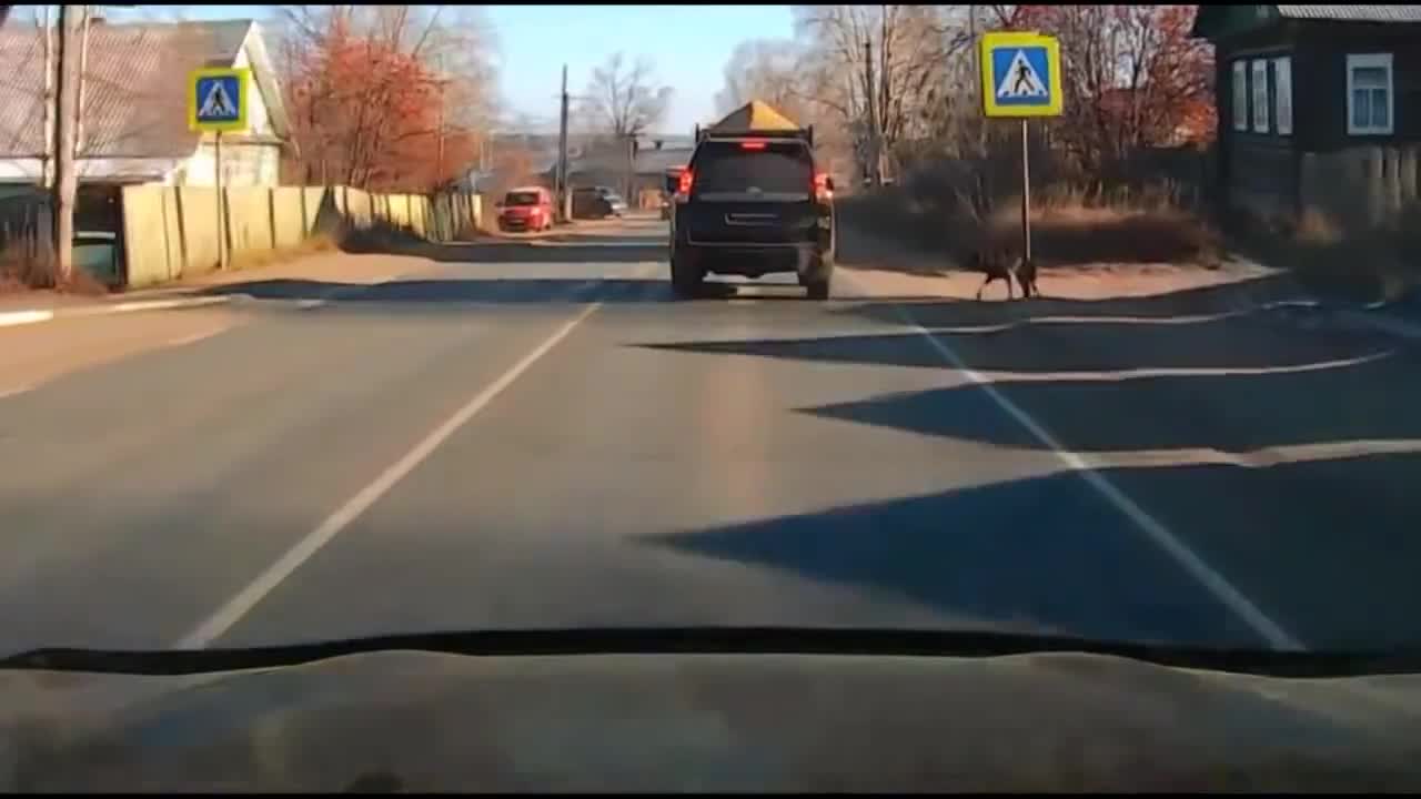 Забавни и болезнени моменти от Русия!!!