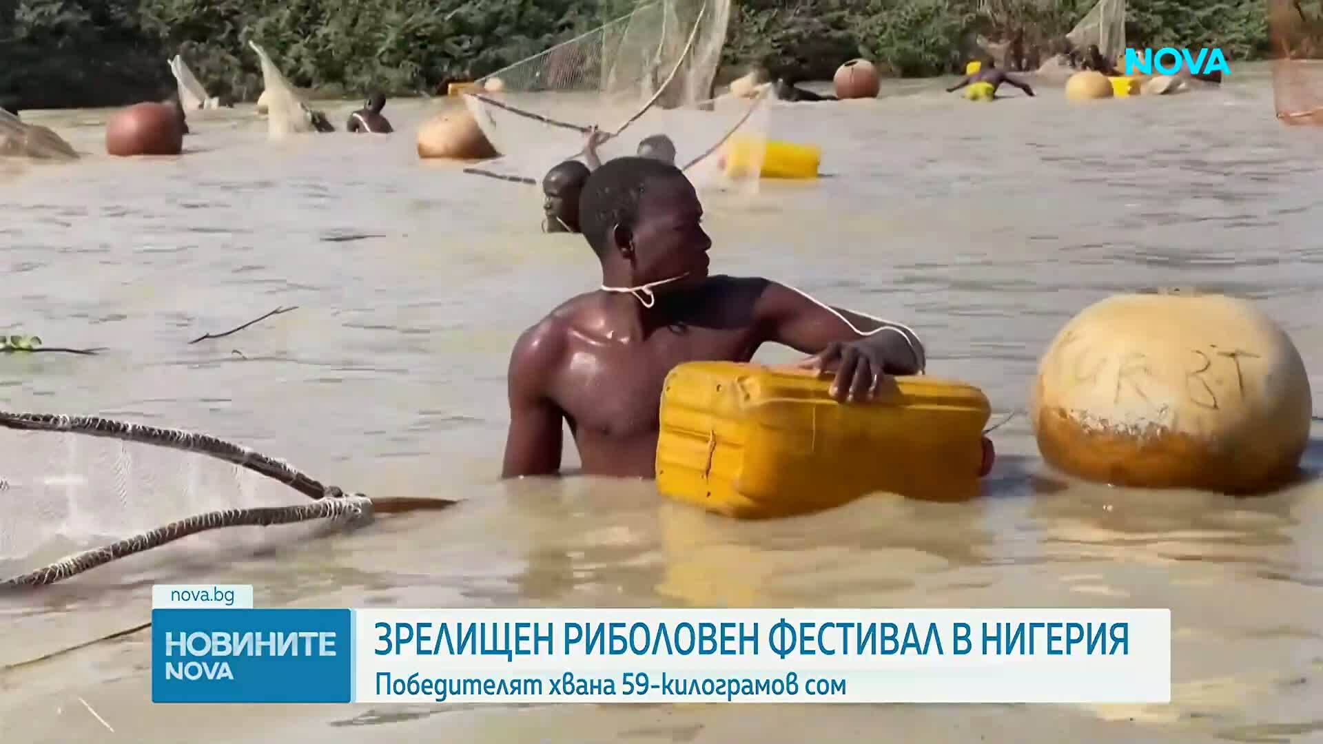 В търсене на най-големия сом: Хиляди влязоха в реката в Аргунгу