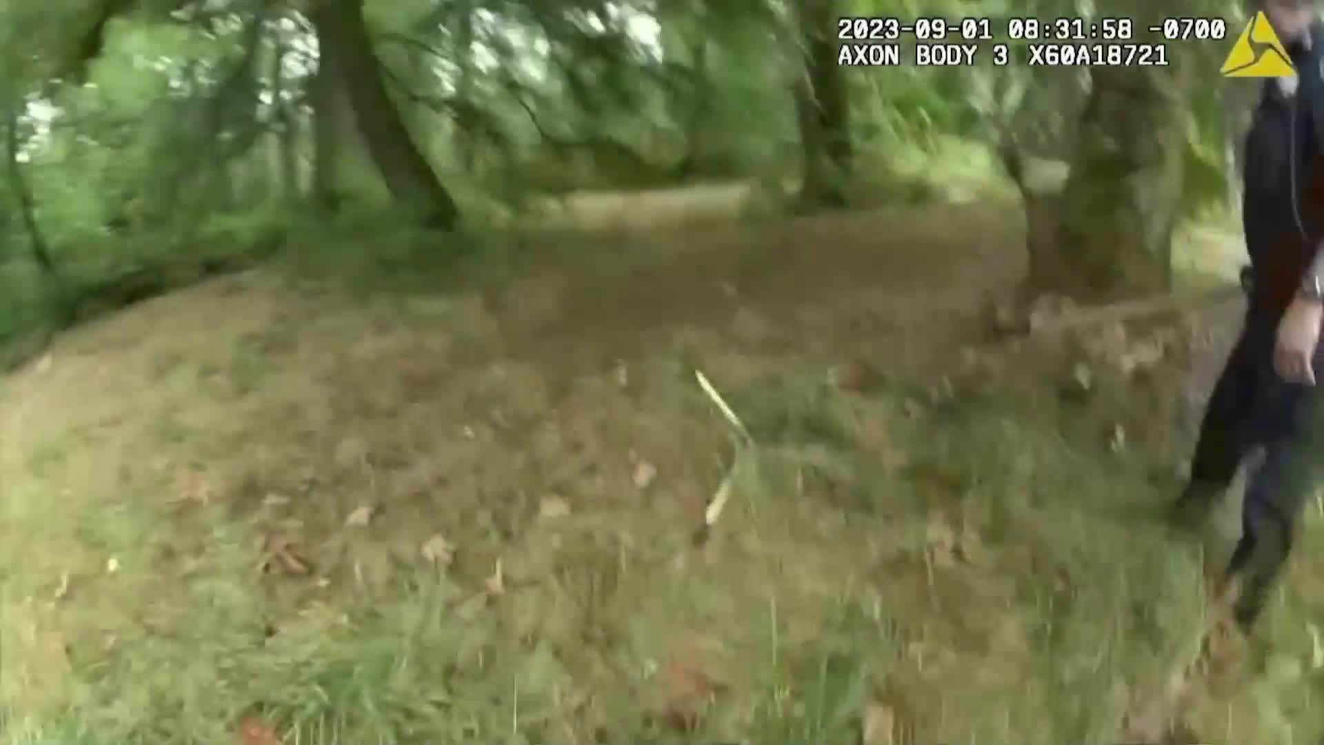 Полицаи спасиха лос с оплетени във въжена люлка рога (ВИДЕО)