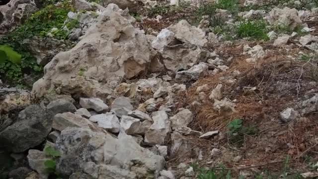 Падащи камъни заплашват Аладжа манастир