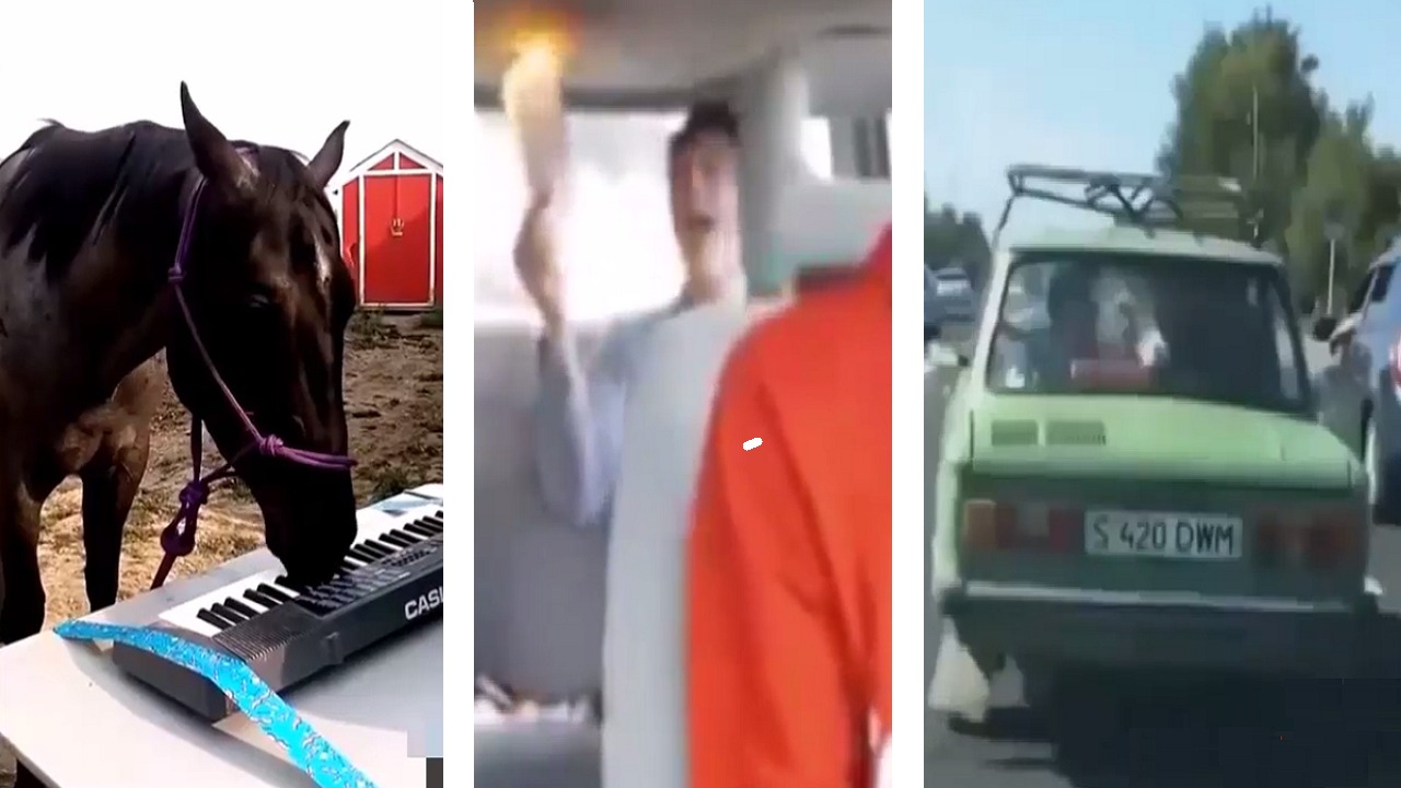 Минутка смях - Коня пиянист, млади пожарникари и кравата пасажер