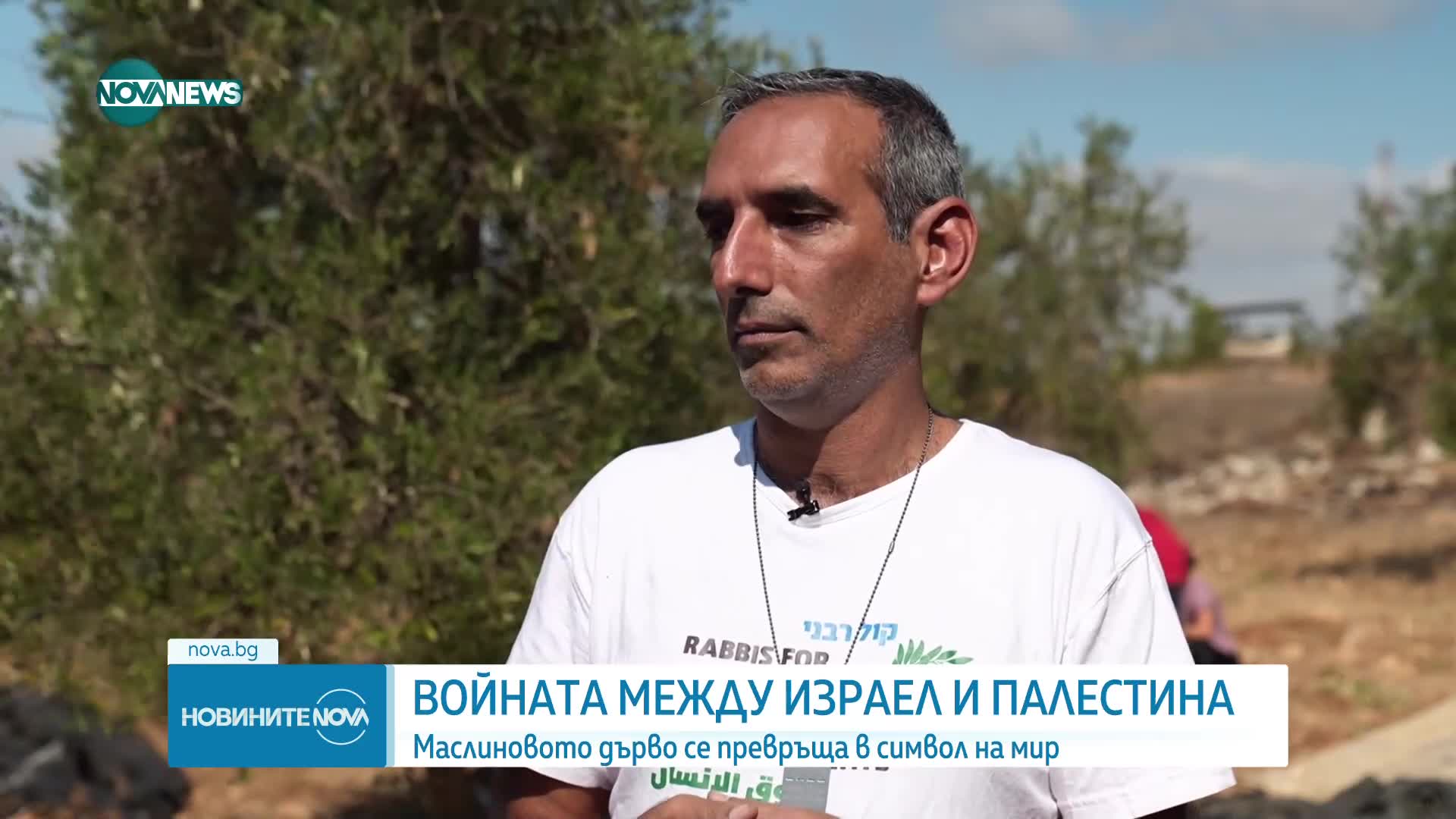 Символът на мира - маслиновото дърво и конфликтът в Близкия изток