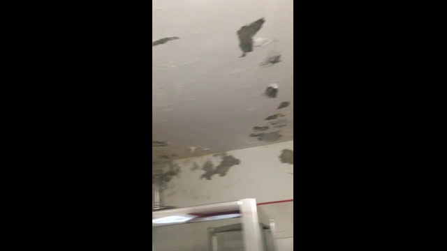 Урина в спалнята и кухнята от кучетата на съседа