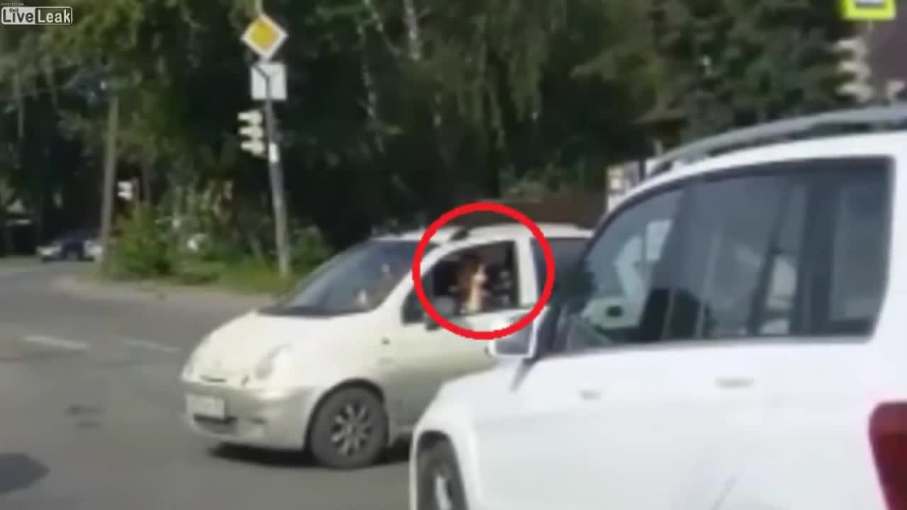 Карма за среден пръст