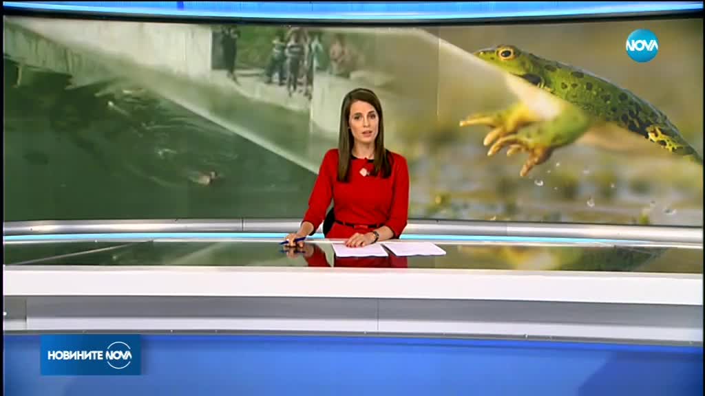 Новините на NOVA (10.05.2018 - обедна емисия)