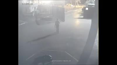 Хипопотам избяга от зоопарк и сам се върна обратно