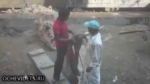 Смях до сълзи ... Индийски строител