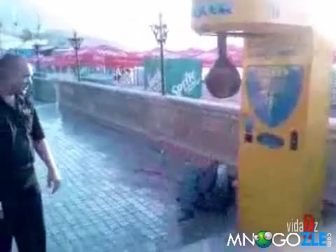 Боксовата круша Победи