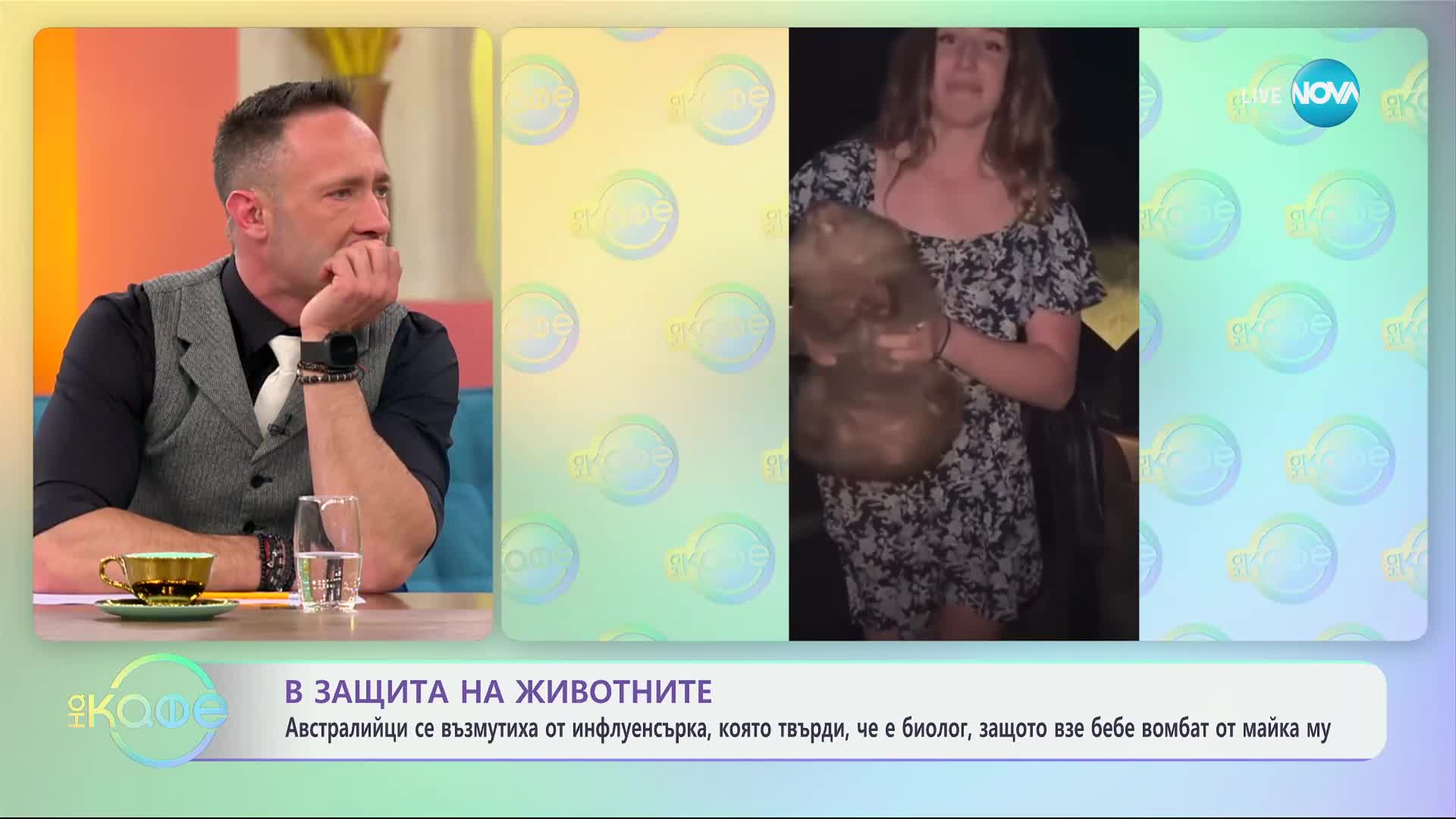 Австралийци се възмутиха от инфлуенсърка, защото взе бебе вомбат от майка му - „На кафе“ (13.03.2025)