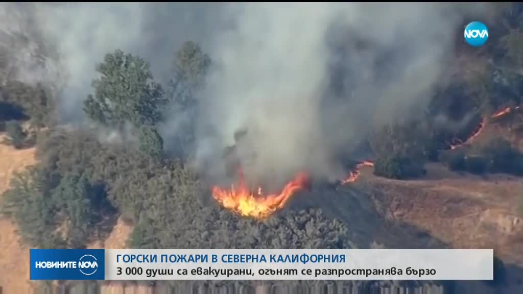 3000 евакуирани заради горски пожар в Калифорния