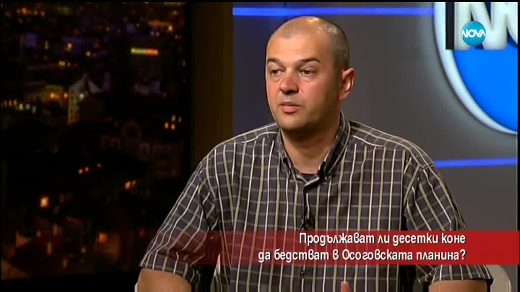 Продължават ли десетки коне да бедстват в Осоговската планина?