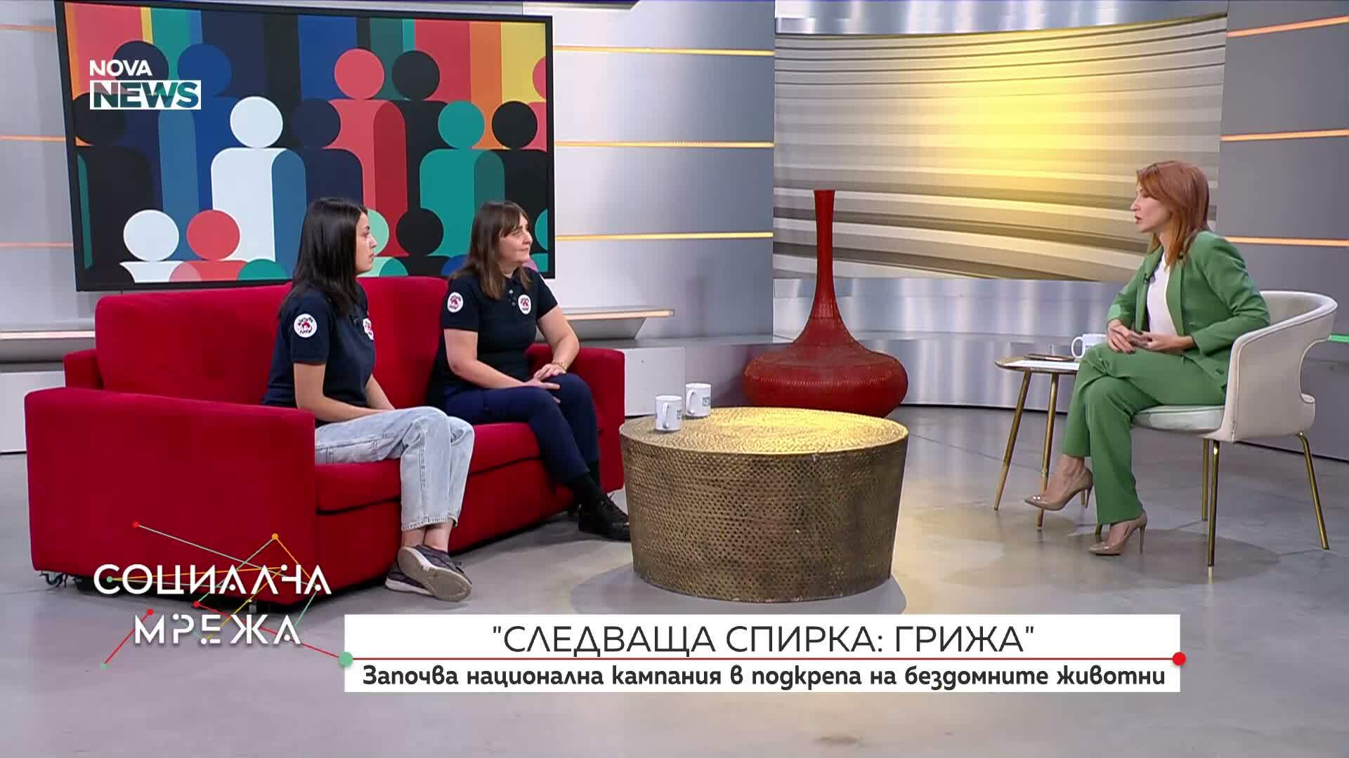 Започва национална кампания в подкрепа на бездомните животни