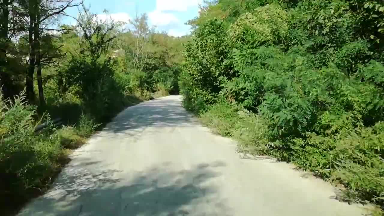 Стеснен път заради храсти