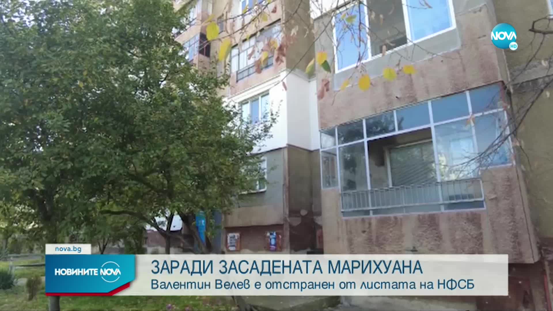 Задържаният кандидат-депутат за отглеждане на марихуана напуска НФСБ