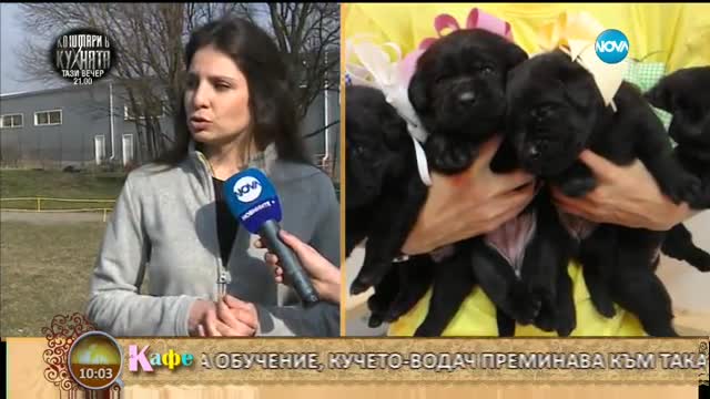 "На кафе" за обучението на кучетата водачи за незрящи (28.02.2017)