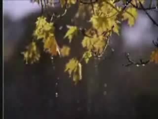 Атлас - Есен